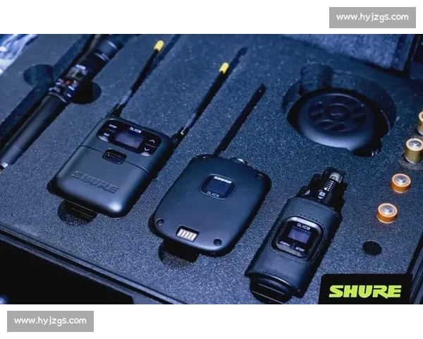 聚焦关键对决球队实力碰撞全景解析vs巴厘安赛前看点深度前瞻